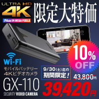 GX-110キャンペーン