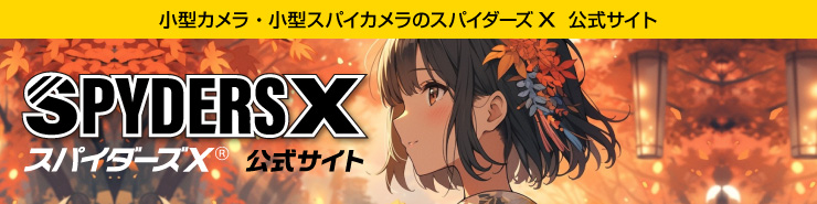 GX-302 防犯カメラ Gexa(ジイエクサ) スパイカメラ 2.7K ワイヤレス充電器型カメラ
